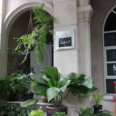 Aster 9 House-2